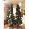 Image 2 : CHRISTMAS TREES ON STANDS (3)