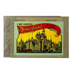 Disneyland Window Decal Castle Souvenir Window - Unused