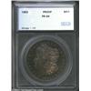 Image 1 : 1882 S$1 Morgan Dollar PR66 SEGS (PR65 Questionable Color). Both the obverse and reverse are toned i