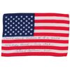 Image 1 : Michael Collins’s Gemini 10 Flown Flag