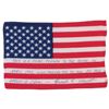 Image 2 : Guenter Wendt’s Apollo 16 Flown Flag
