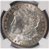 Image 2 : 1896 MORGAN DOLLAR NGC MS-64+