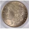 Image 2 : 1921 MORGAN DOLLAR ANACS MS-63