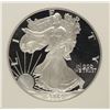 Image 2 : 2002-W AMERICAN SILVER EAGLE, NGC  PROOF-70 ULTRA CAMEO!