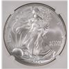 Image 2 : 2004 AMERICAN SILVER EAGLE, NGC MS-69