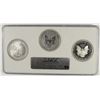 Image 2 : 2006 3PC SILVER AMERICAN EAGLE SET NGC 69'S (MULTIHOLDER)
