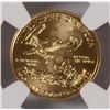 Image 3 : 2010 $5 GOLD AMERICAN EAGLE NGC MS-70 !!!