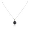 Image 1 : PLATED SILVER 9.77 ctw Sapphire and White Topaz Pendant With Chain
