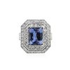 Image 1 : 14KT White Gold 2.74 ctw Tanzanite and Diamond Ring