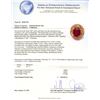 Image 3 : 14KT Yellow Gold 7.01 ctw Ruby and Diamond Ring
