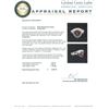 Image 4 : 18KT White Gold 3.18 ctw Garnet and Diamond Ring
