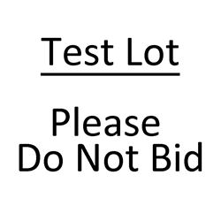 Test Lot. Please do not bid.