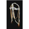 Image 1 : Plains Beaded Headstall
