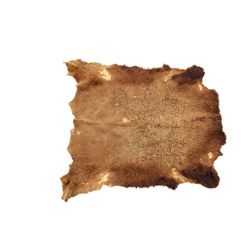 Early Cavalry Buffalo Hide