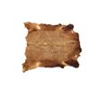 Image 1 : Early Cavalry Buffalo Hide