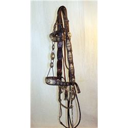 Olsen-Nolte Silver Bridle