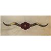 Image 1 : Set of Longhorns