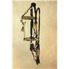 Image 1 : Rawlins Wyoming Horse Hair Bridle