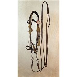 Kangaroo & Hitched Horse Hair Bridle