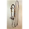 Image 1 : Kangaroo & Hitched Horse Hair Bridle