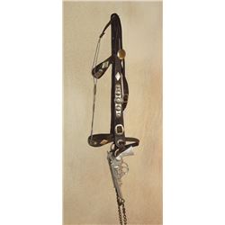 Bridle with Pistol Bit