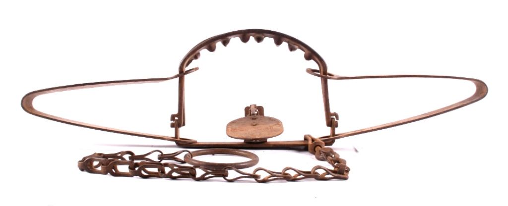 Triumph Trap Co. 415-X High Grip Bear Trap