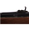 Image 5 : Daisy Model 1894 BB Lever Action Rifle