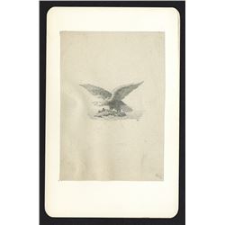 Eagle Drawing, ca. 1860-70's