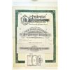 Image 3 : National Standard Insurance Co. of NY; Assurance Co. of America Sample Pair Plus stuff, ca.1900-20's