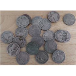 Twenty Old Buffalo Nickels