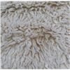 Image 2 : Giant Weavers Rug