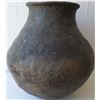 Image 5 : San Diego Olla