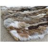 Image 4 : Kumeyaay Rabbit Skin Skirth