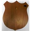 Image 3 : ARGE WOOD PLAQUE-NAVAL CONSTRUCTION TRAINING CENTER
