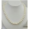 Image 1 : STERLING SILVER CLASP FRESHWATER PEARL NECKLACE