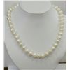 Image 2 : STERLING SILVER CLASP FRESHWATER PEARL NECKLACE
