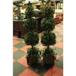 PAIR OF TOPIARY TREES