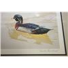 Image 3 : LE PRINT DUCKS UNLIMITED BY JULES BOUCHARD