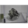 Image 1 : STAINLESS STEEL SKULL RING SIZE: 10