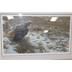 "SPRING THAW RED-TAILED HAWK" BY ROBERT BATEMAN