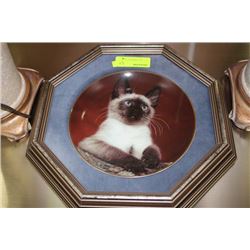 FRAMED CAT COLLECTOR PLATE