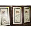 Image 1 : 3-PIECE FRAMED BIRD PICTURES - SIZES ALL: 28" H X
