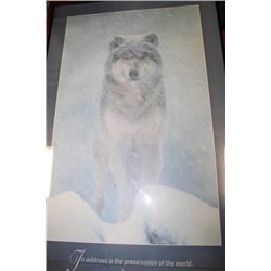 WOLF FRAMED PICTURE - 3FT H X 2FT W