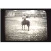 Image 10 : William F. ‘Buffalo Bill’ Cody