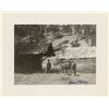 Image 1 : Zane Grey