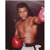 Image 2 : Muhammad Ali
