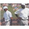 Image 2 : Michael Jordan and Tiger Woods