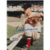 Image 2 : Ted Williams