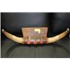 Image 1 : MOUNTED BULL HORNS