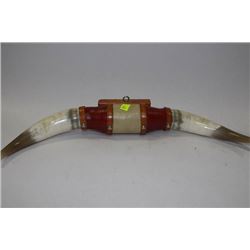 MOUNTED BULL/STEER HORNS 21"